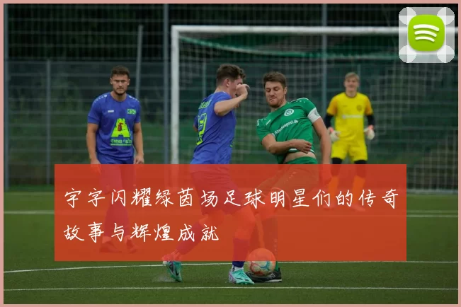 宇字闪耀绿茵场足球明星们的传奇故事与辉煌成就