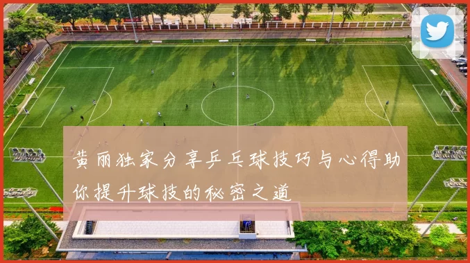 黄丽独家分享乒乓球技巧与心得助你提升球技的秘密之道