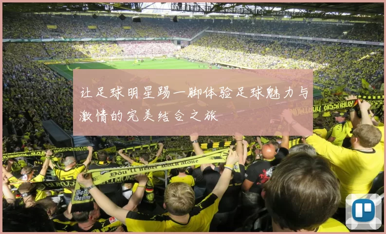 让足球明星踢一脚体验足球魅力与激情的完美结合之旅
