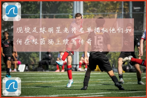 现役足球明星老将名单揭秘他们如何在绿茵场上续写传奇