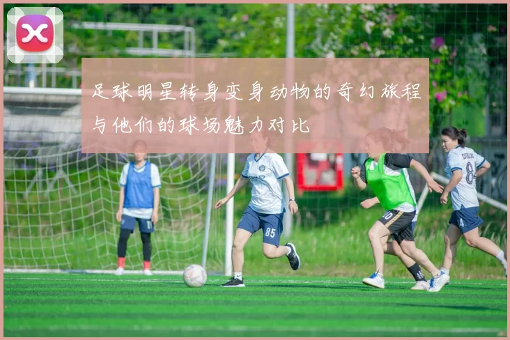 足球明星转身变身动物的奇幻旅程与他们的球场魅力对比