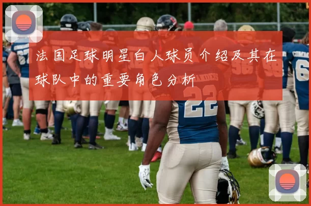 法国足球明星白人球员介绍及其在球队中的重要角色分析