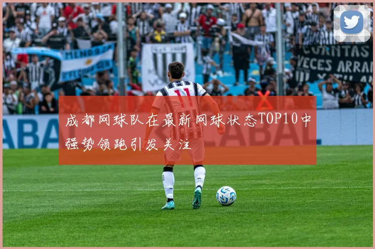 成都网球队在最新网球状态TOP10中强势领跑引发关注