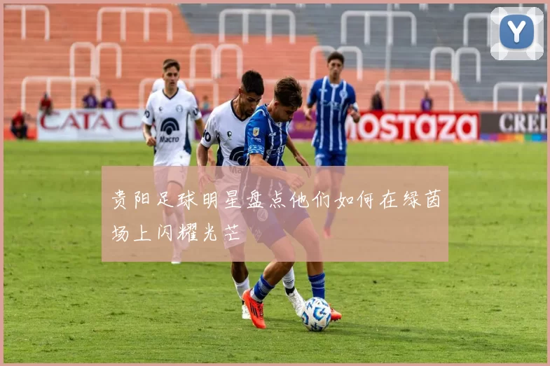 贵阳足球明星盘点他们如何在绿茵场上闪耀光芒