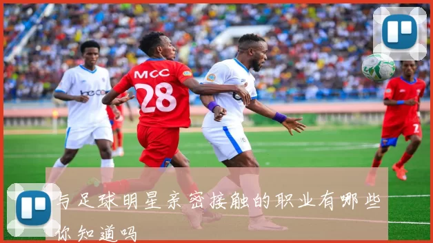 与足球明星亲密接触的职业有哪些你知道吗